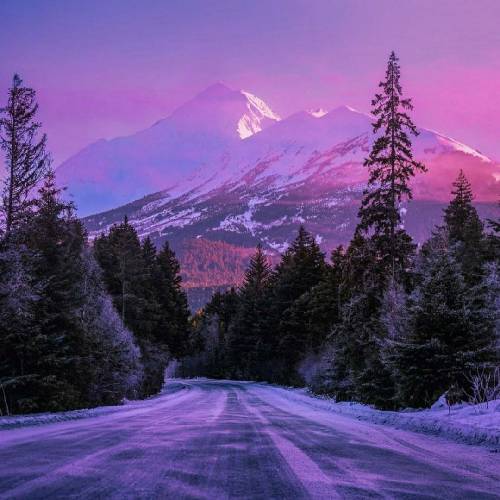 مجتبی دربیدی رز قشنگم زیباترینی تو حتی بی رنگم عطر تو هوامه هرجا که باشم